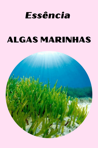 Essência Algas Marinhas