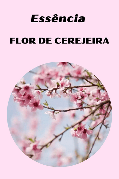 Essência Flor de Cerejeira