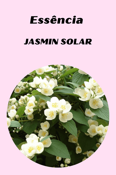 Essência Jasmin Solar