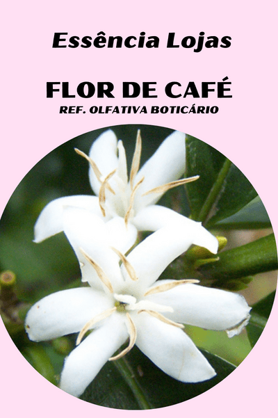Essência Flor de Café