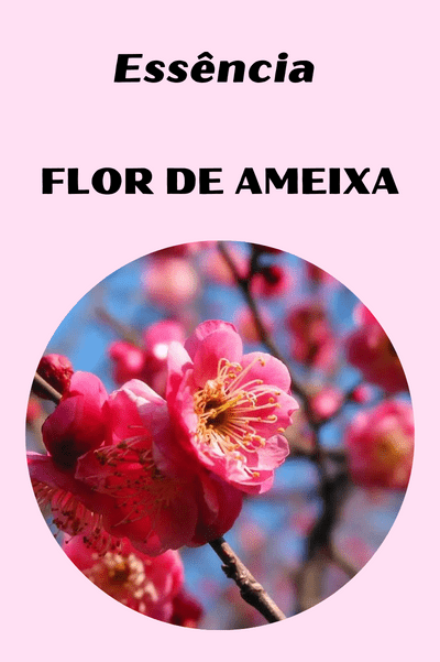 Essência Flor de Ameixa