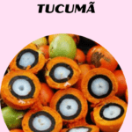 Essência Tucumã