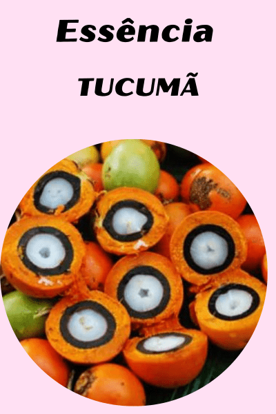 Essência Tucumã